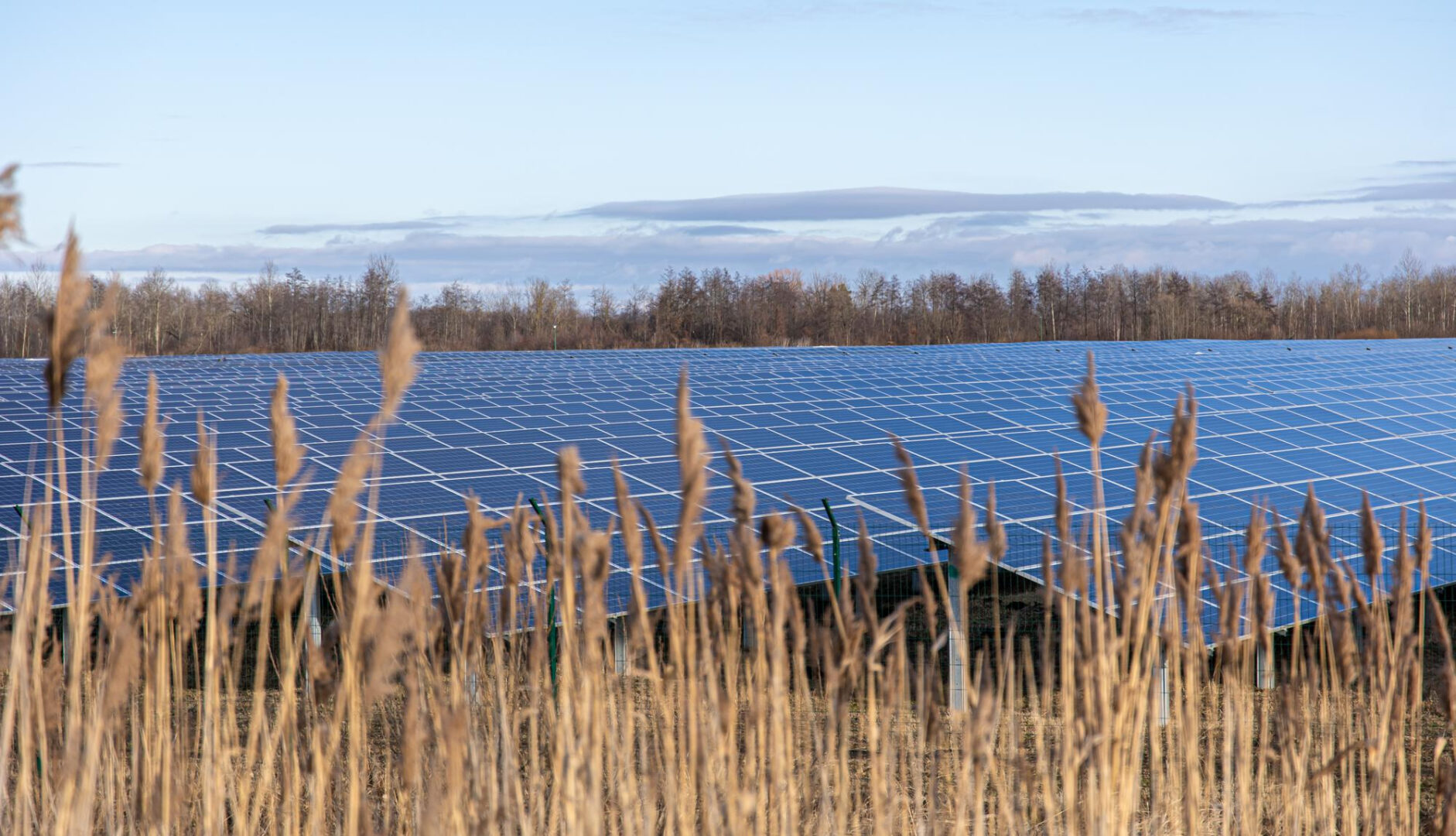 How Solar Panels Are Powering Farms and Agriculture in Minnesota 2 Solar panels for farms installed on a Minnesota agricultural field capturing clean energy.